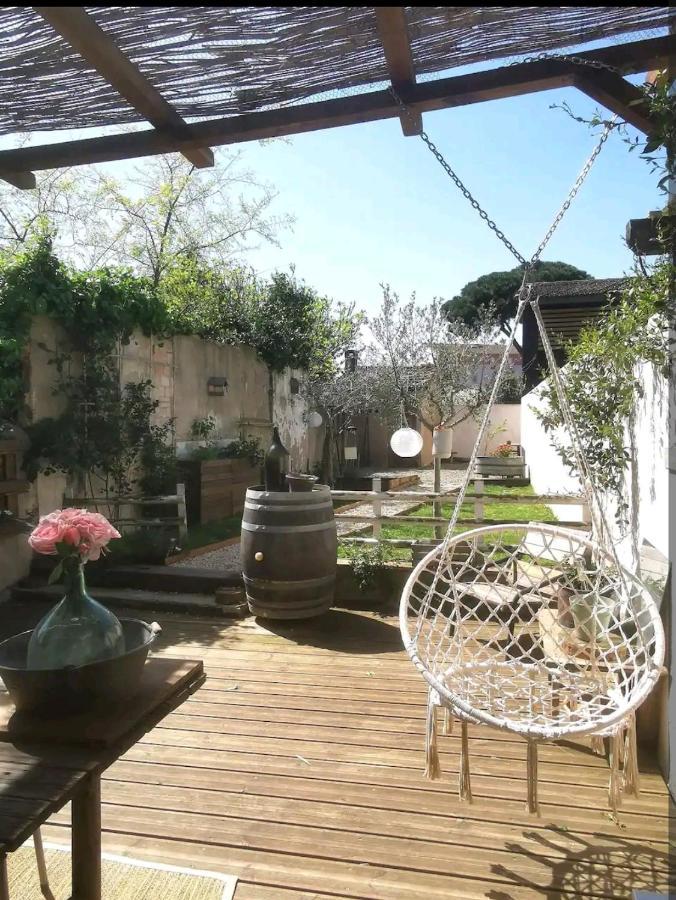 La Maison De Marie - Jardin Arbore - Garage Privatif - Netflix Carcassonne Luaran gambar