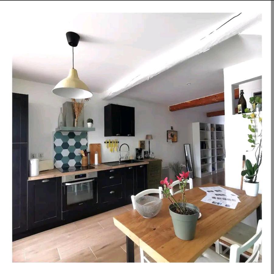 La Maison De Marie - Jardin Arbore - Garage Privatif - Netflix Carcassonne Luaran gambar